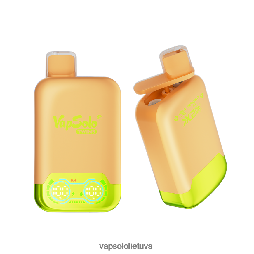VapSolo Flavours - VapSolo TWINS vienkartiniai garai DZ482B29 citrinų laimo ir arbūzo ledukai