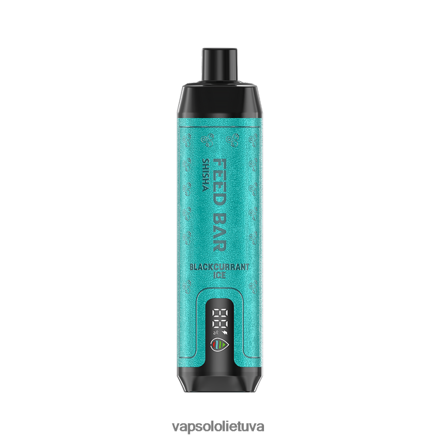 VapSolo Flavours - VapSolo SHISHA vienkartiniai garai DZ482B2 juodųjų serbentų ledukai