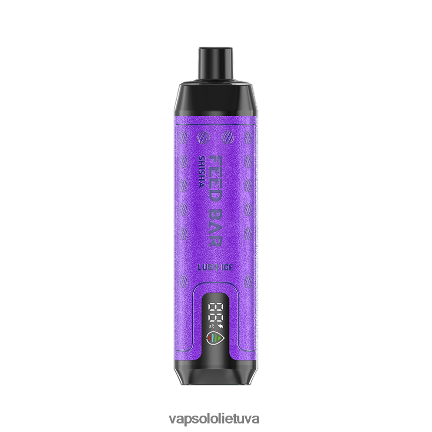 VapSolo Flavours - VapSolo SHISHA vienkartiniai garai DZ482B8 sodrus ledas