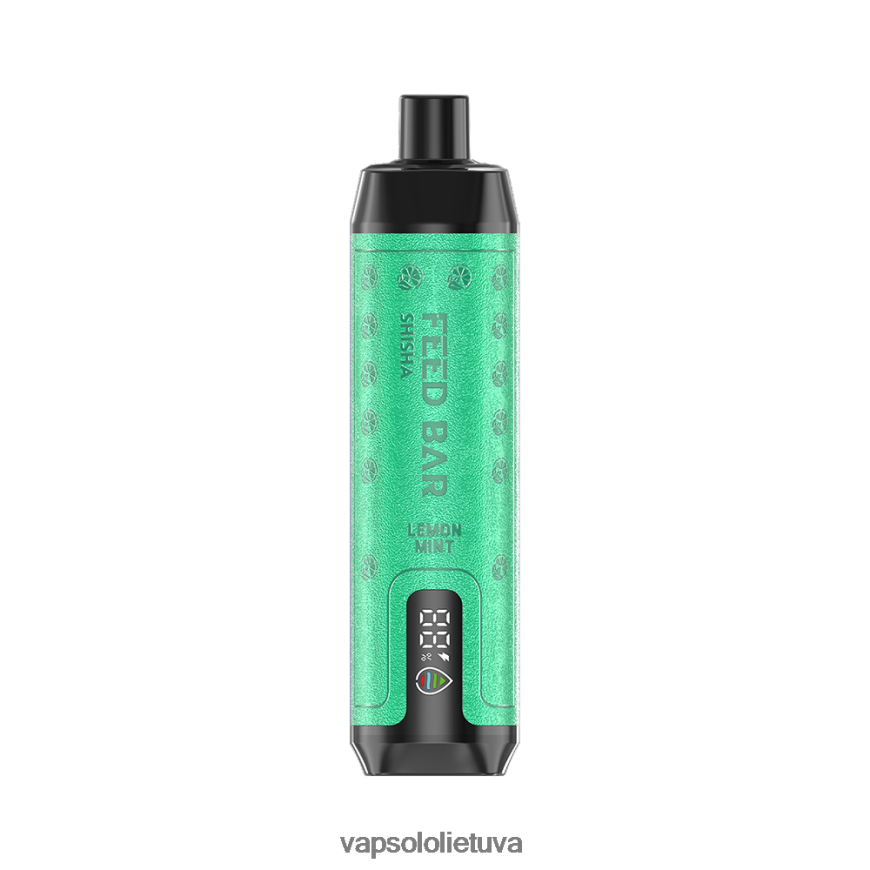 VapSolo Lietuva - VapSolo SHISHA vienkartiniai garai DZ482B7 citrinų mėtų
