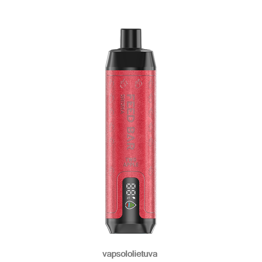 VapSolo Review - VapSolo SHISHA vienkartiniai garai DZ482B12 du obuoliai