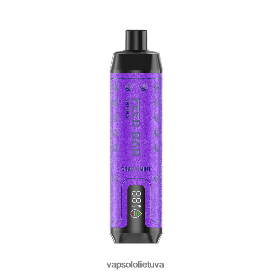 VapSolo Review - VapSolo SHISHA vienkartiniai garai DZ482B6 vynuogių mėtų