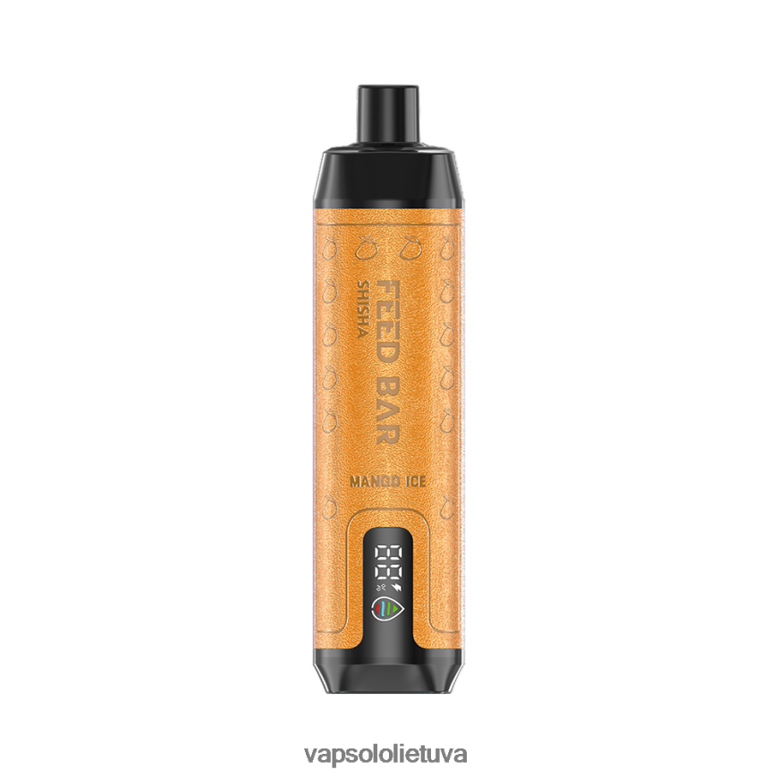 VapSolo Review - VapSolo SHISHA vienkartiniai garai DZ482B9 mangų ledas