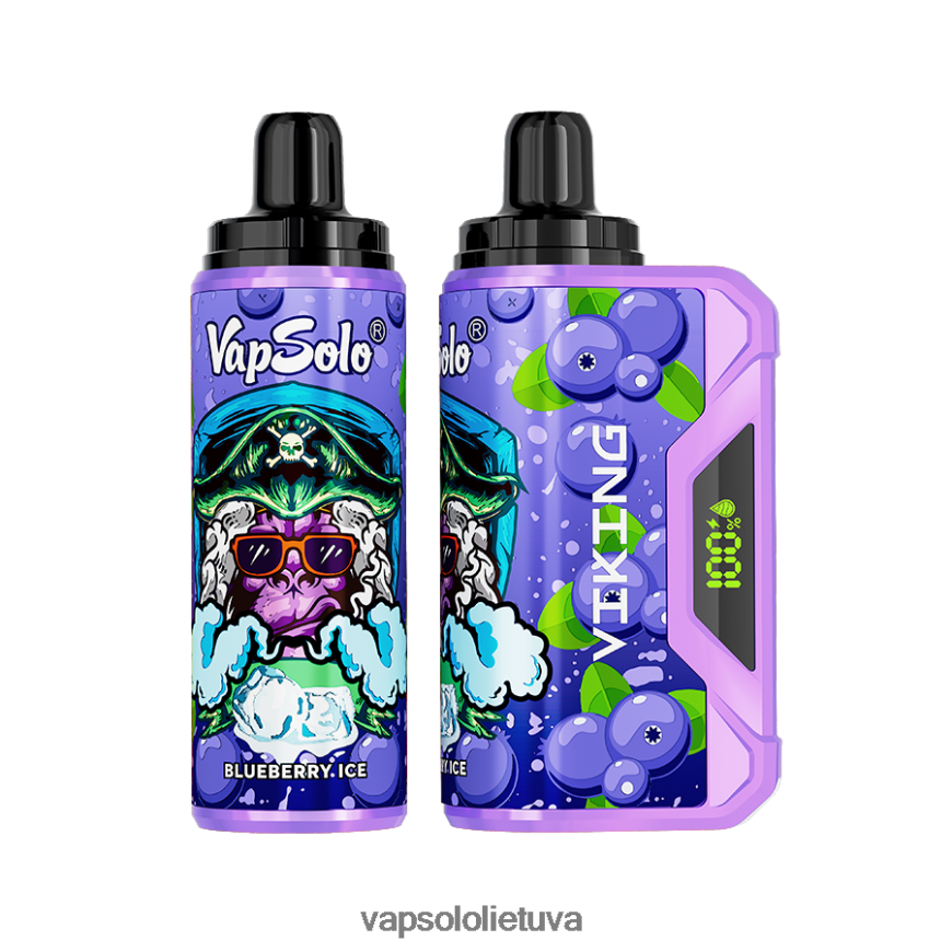 VapSolo Review - VapSolo VIKING vienkartiniai garai DZ482B36 mėlynių